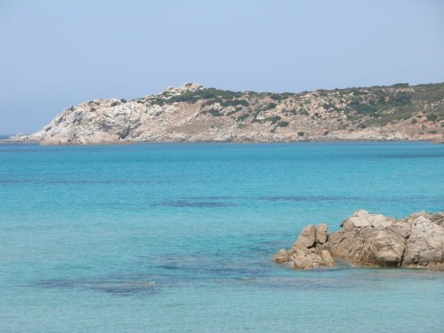 Rena Majore 2000 Iris 9