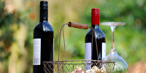 Die Weinmesse in Polpenazze del Garda